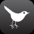 twitter icon